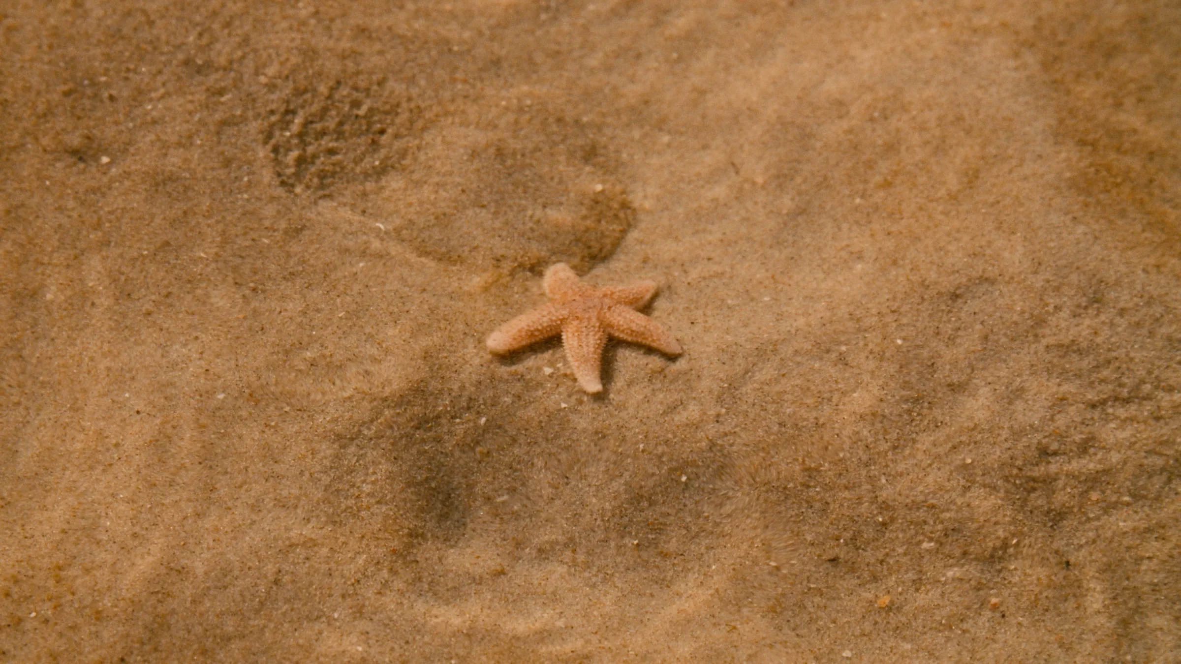 Cassete Band — still 2