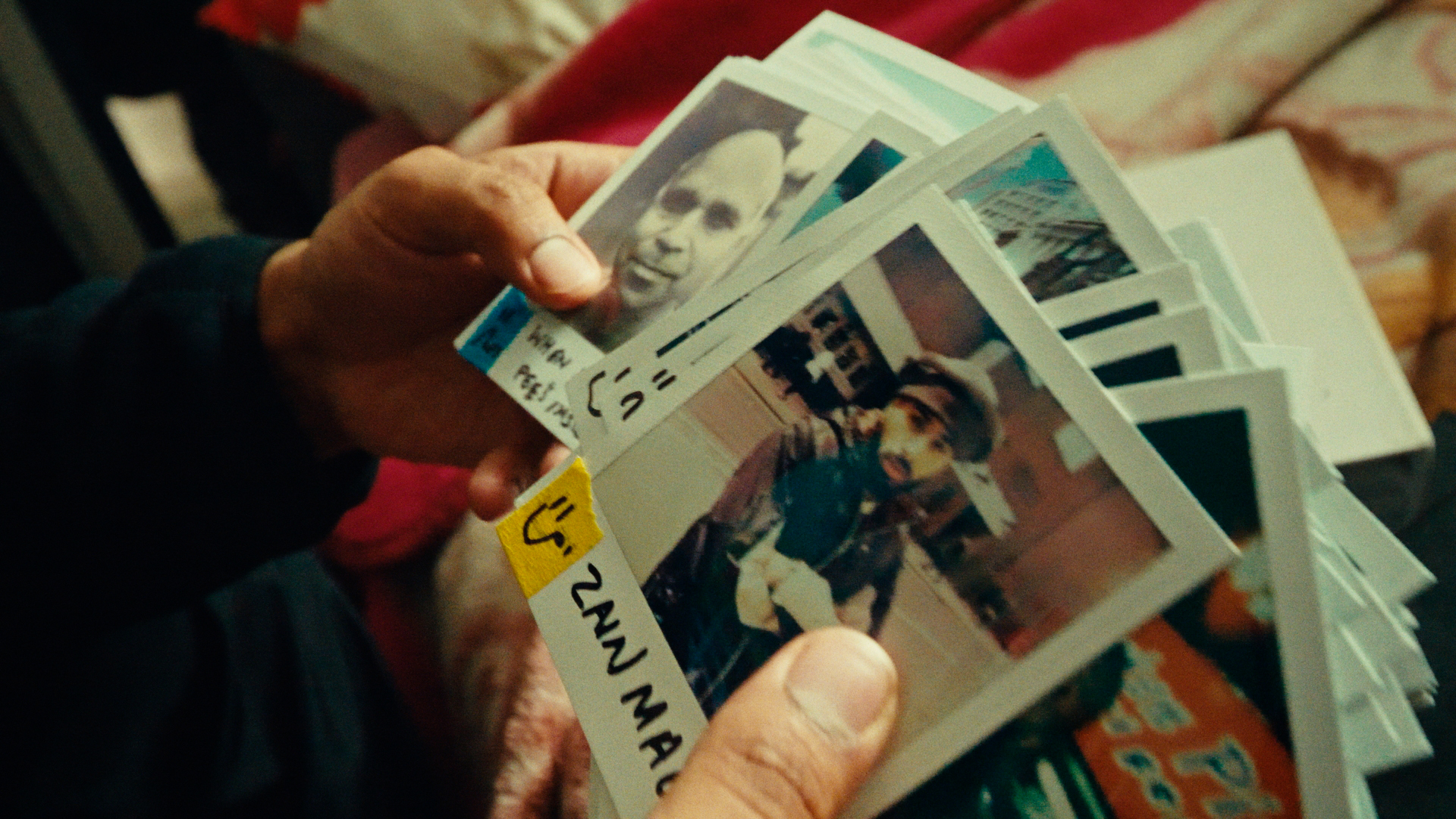 Polaroid — still 3