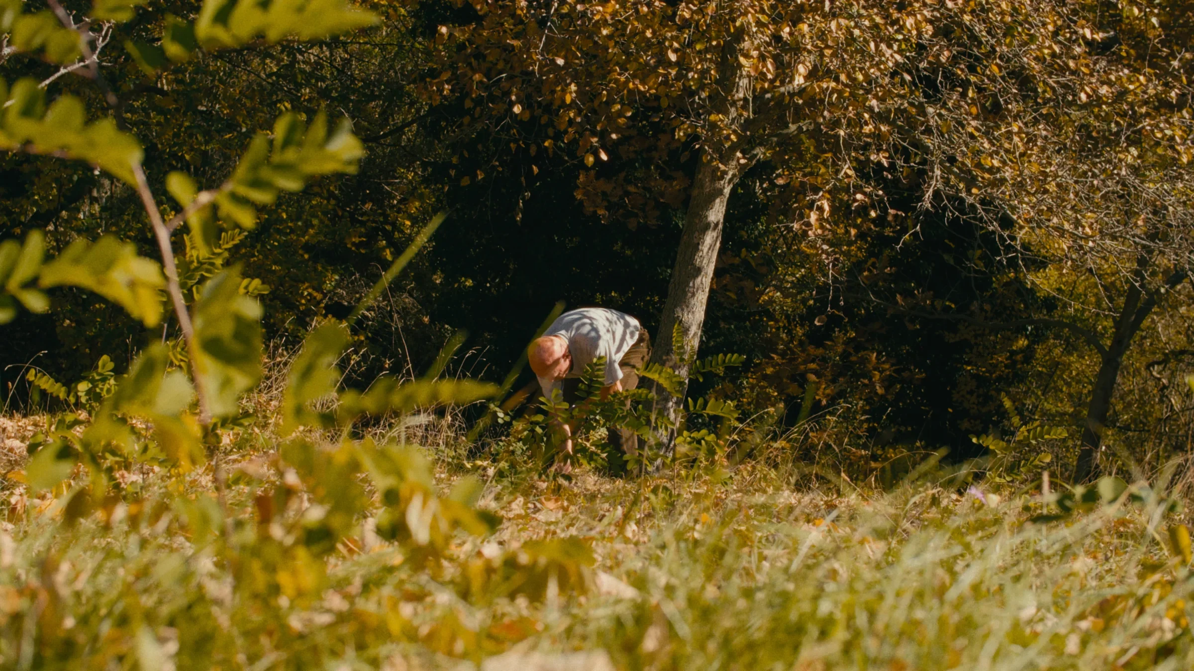 There Is a Place — still 9