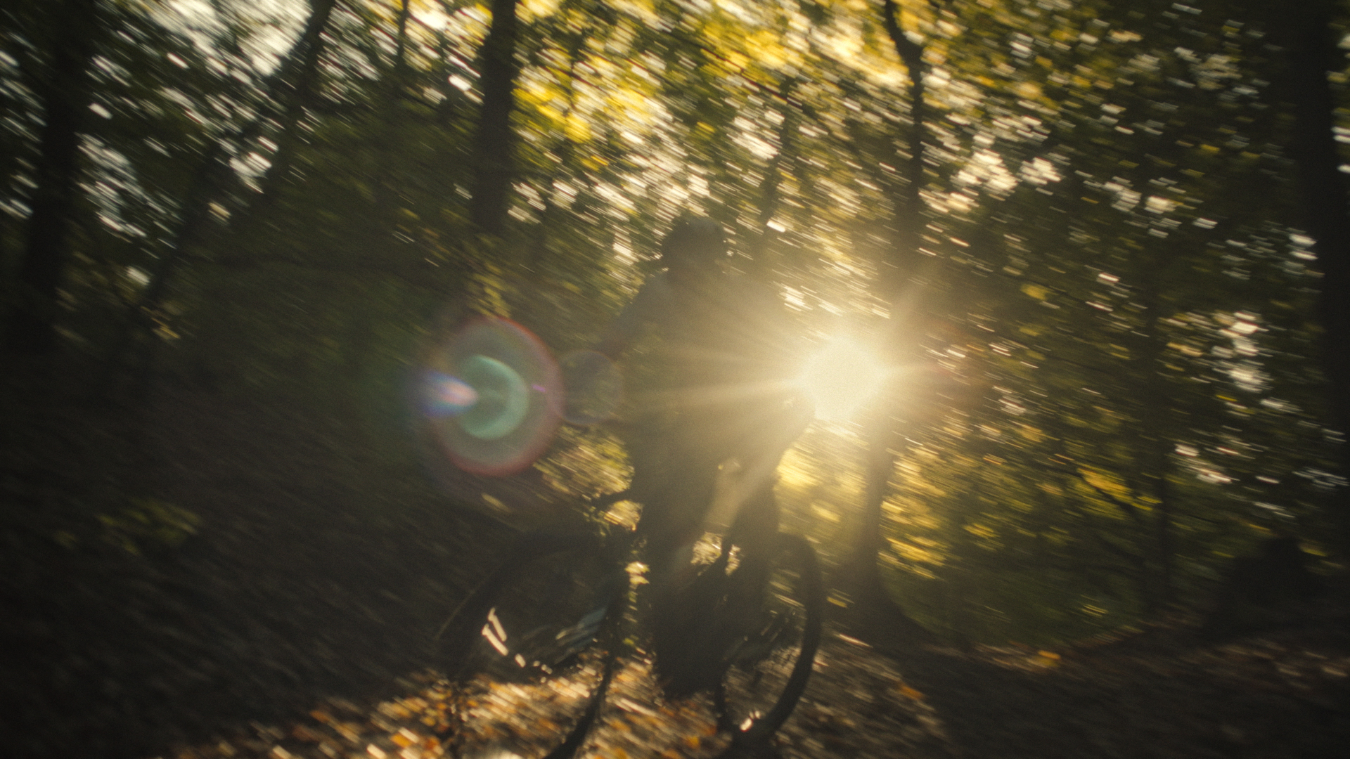 Van Eck Racing — still 3