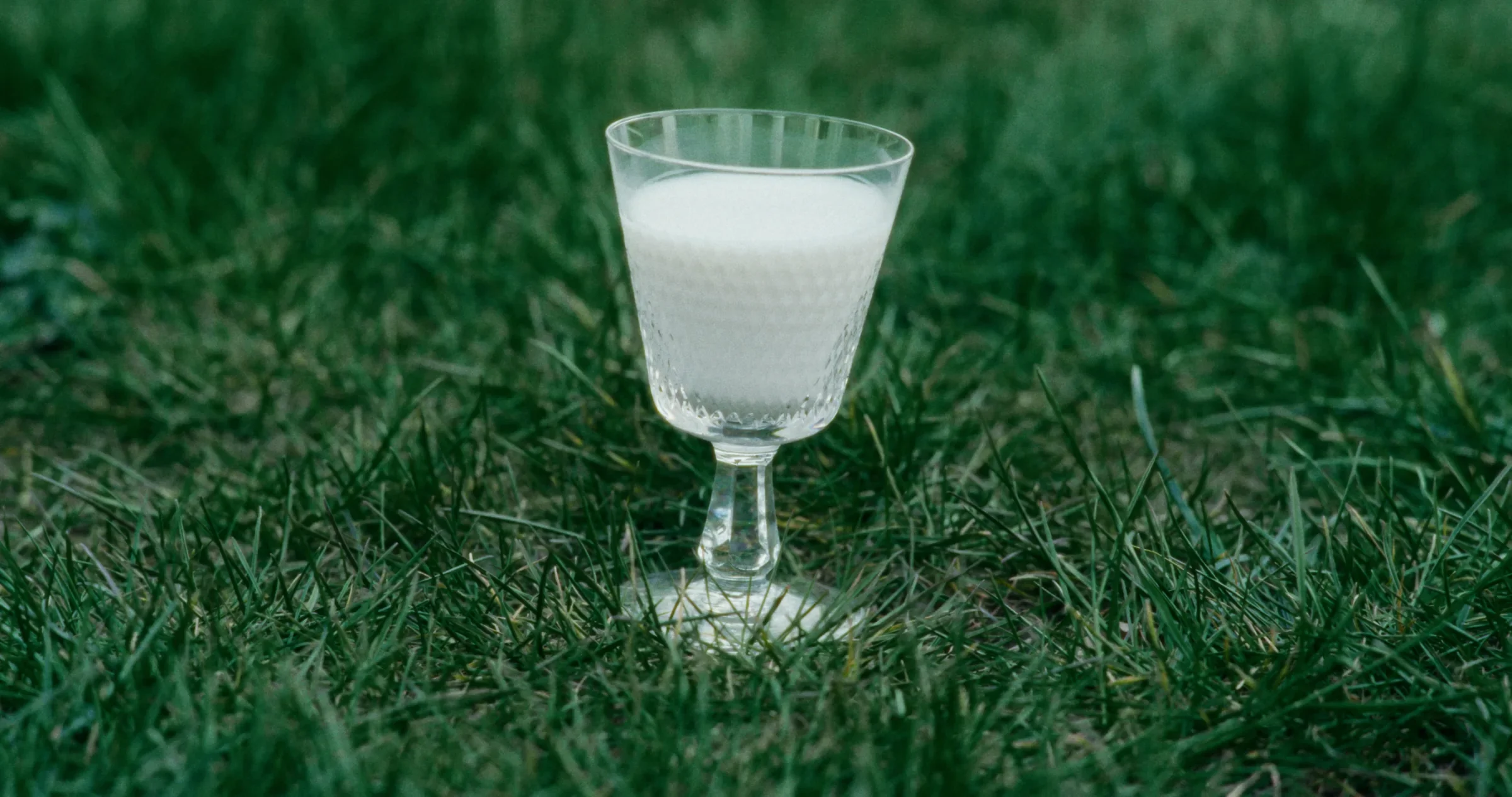 Zure Melk